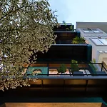Arista 2