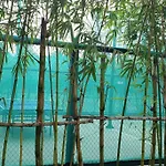 An Nhien Vinhome Grand Park 0425