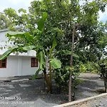 Nguyen Can Homestay Me Khang 2