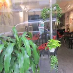 The Lily Hostel & Coffee