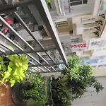 The Lily Hostel & Coffee