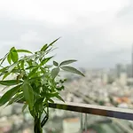 Urban House Premium