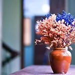 Homestay Sunny\'S House