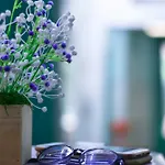 Homestay Sunny\'S House