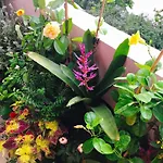 Bee Tropicool