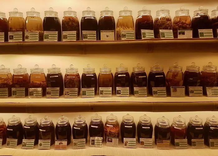 Nguyen Shack Saigon - Little Museum