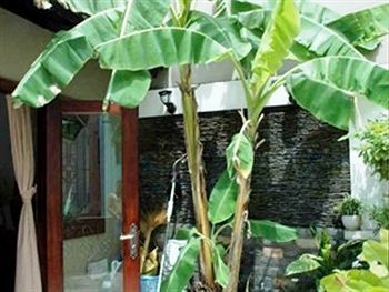 Banana Leaf Hotel