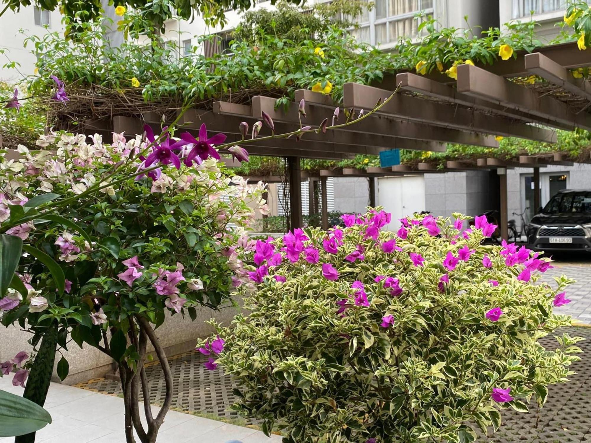 Apartment Scenic Valley With Free Breakfast, Free Massage, Discount Supermarket