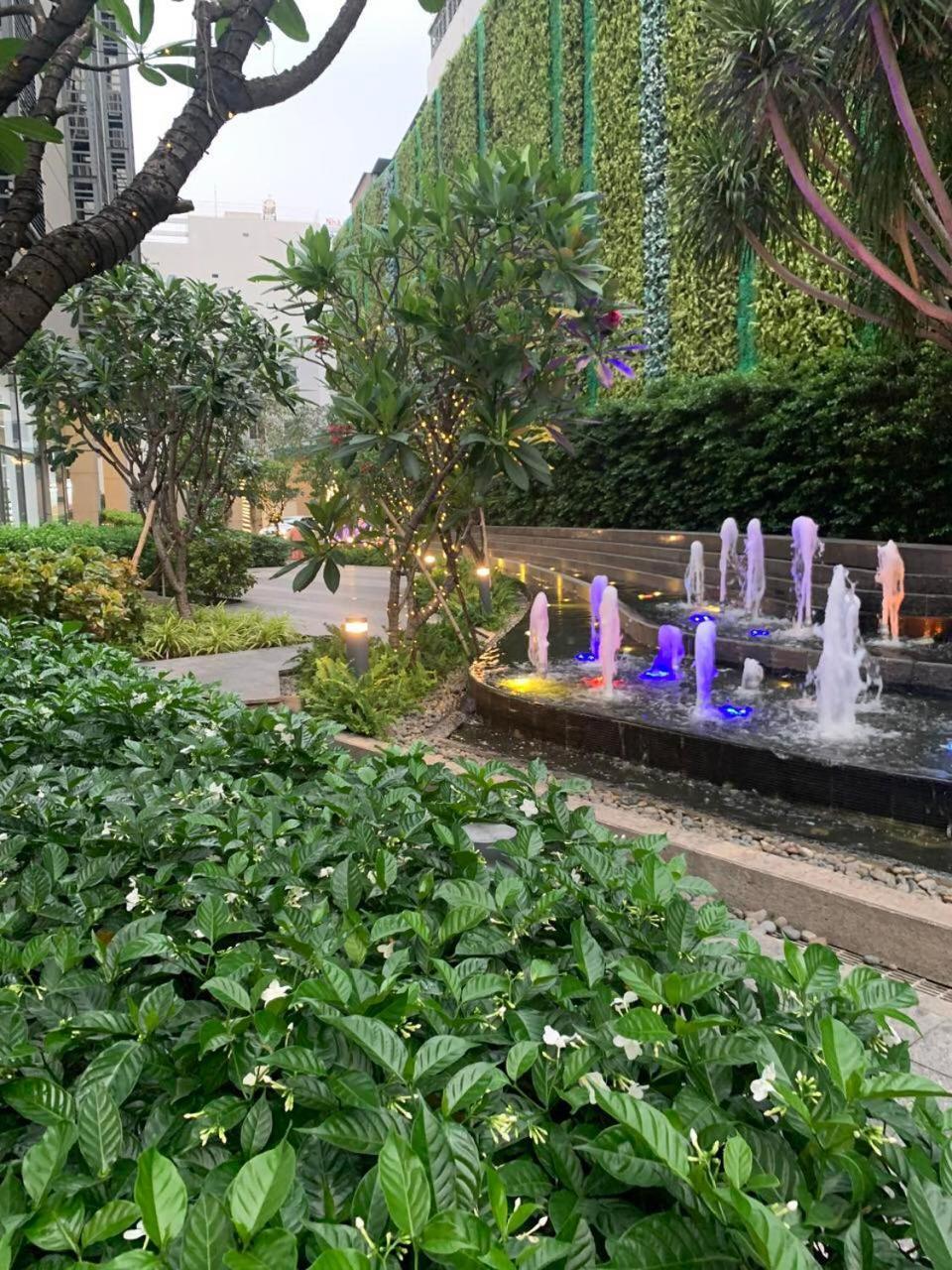 The Everich Infinity 290 Adv * Ho Chi Minh City