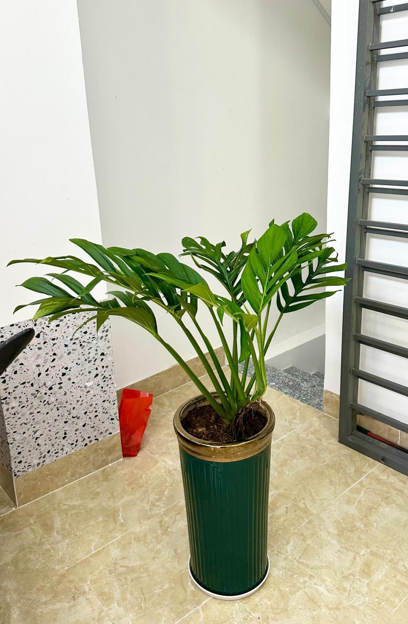 Bed & Breakfast Sweet Homes - Cozy W Kitchen & Netflix Ho Chi Minh City