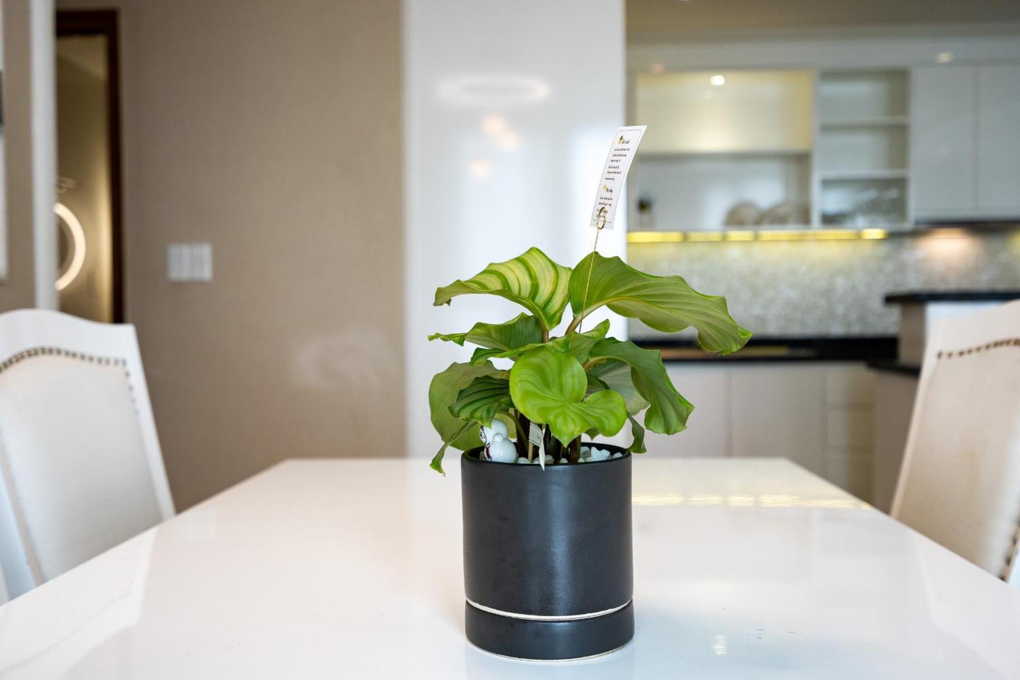 Leman Luxury By M Suites Apartment Ho Chi Minh City