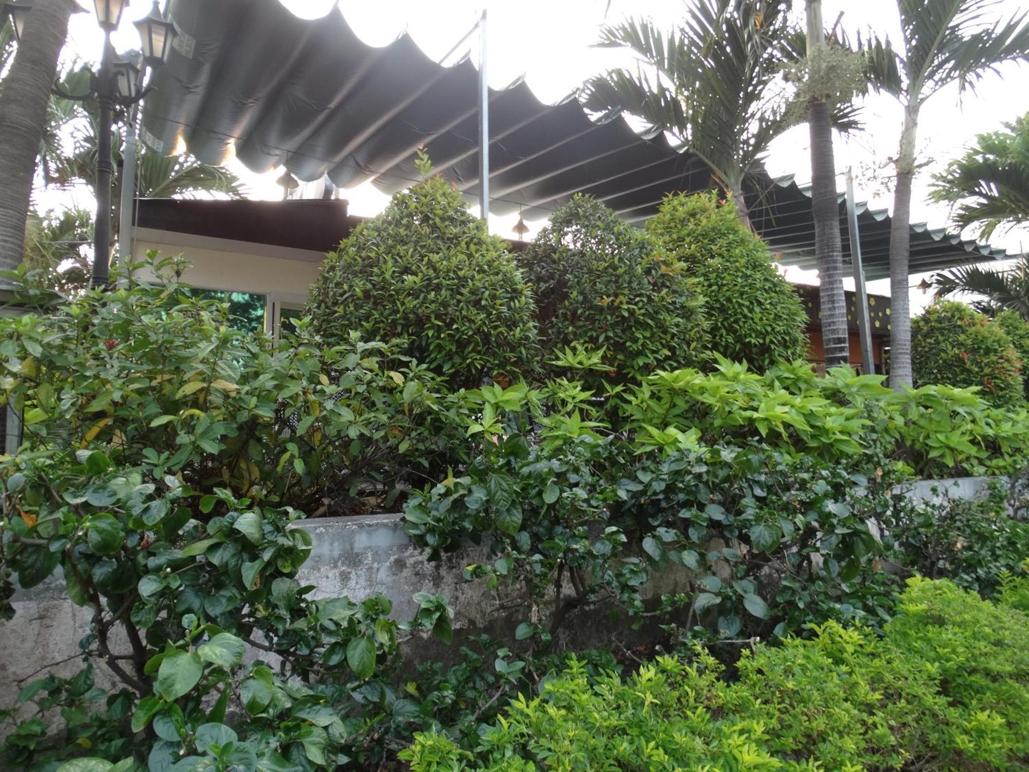 Hoai Pho TP. Hồ Chí Minh