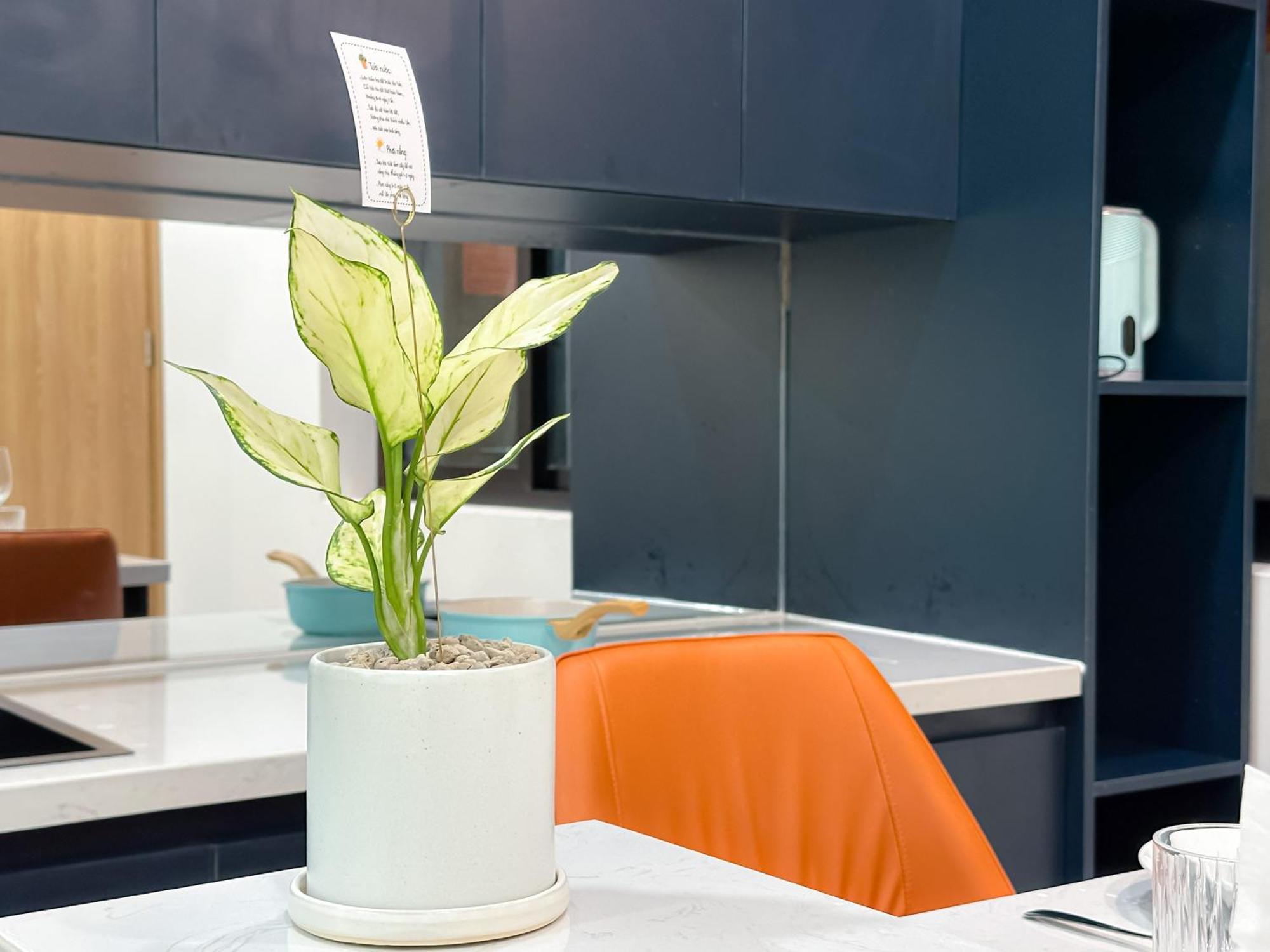 Unite Premier Apartment Ho Chi Minh City