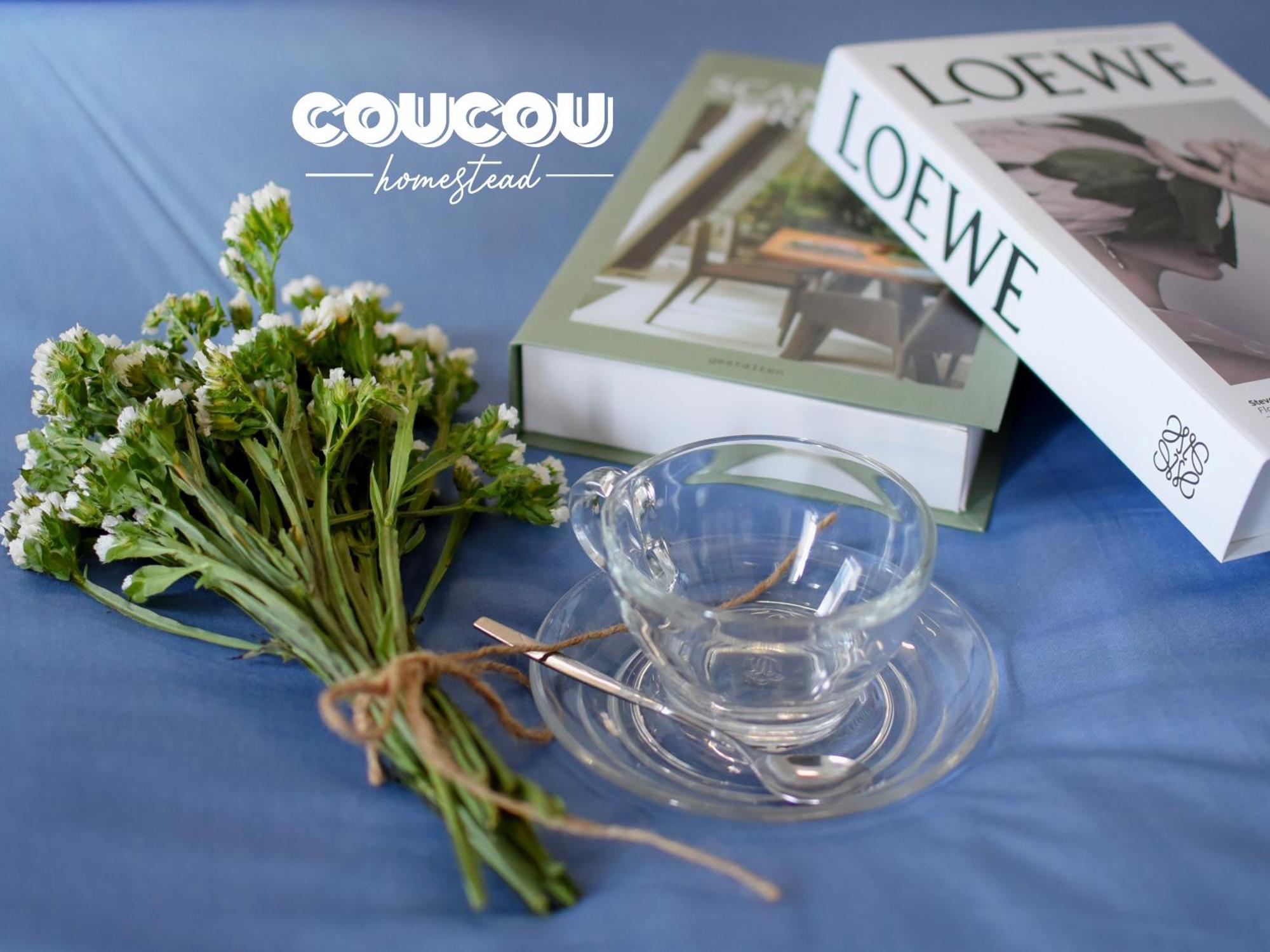 Coucou Homestead Ii - Homestay Quan 1 *