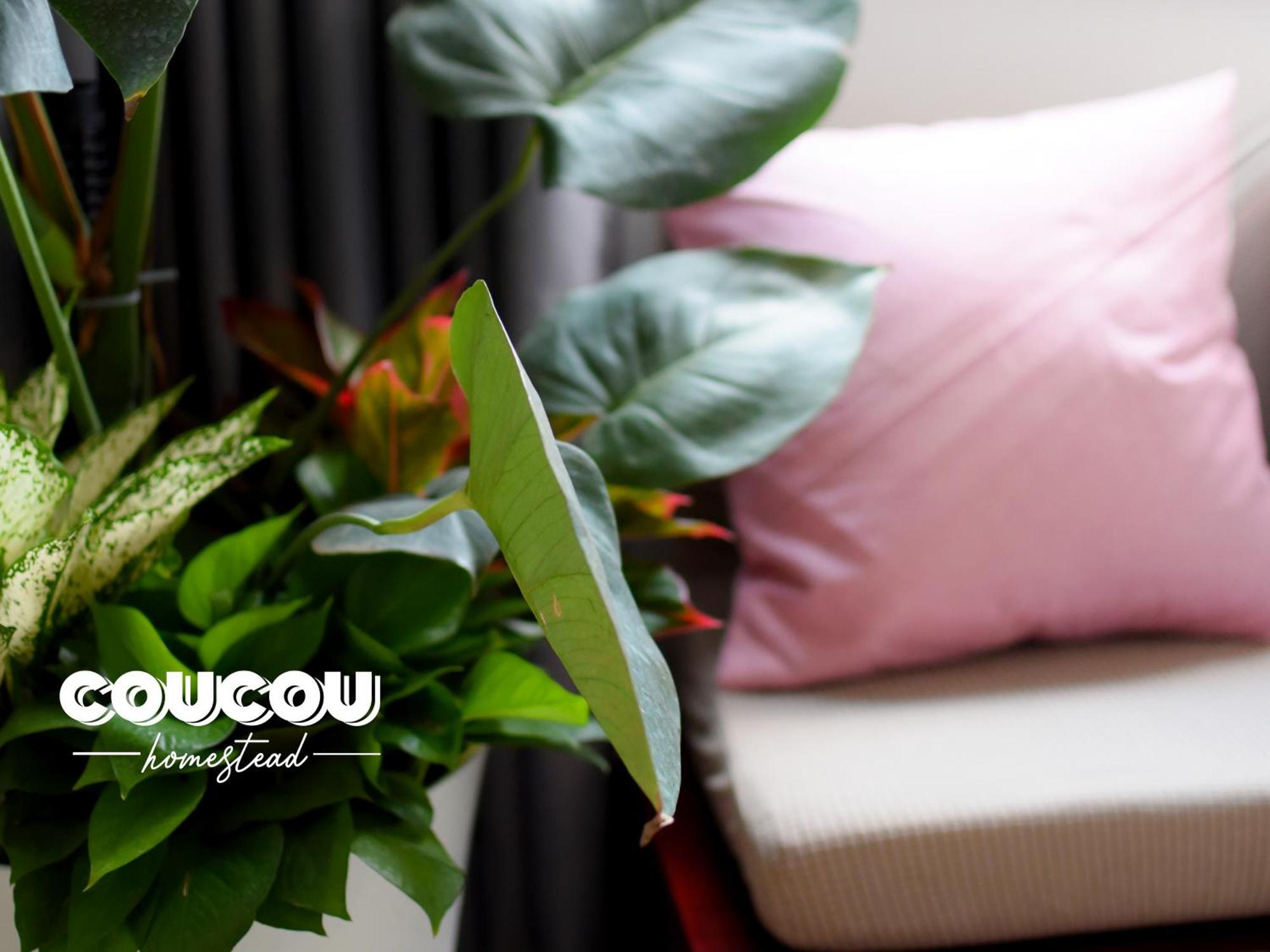 Coucou Homestead Ii - Homestay Quan 1 Aparthotel *