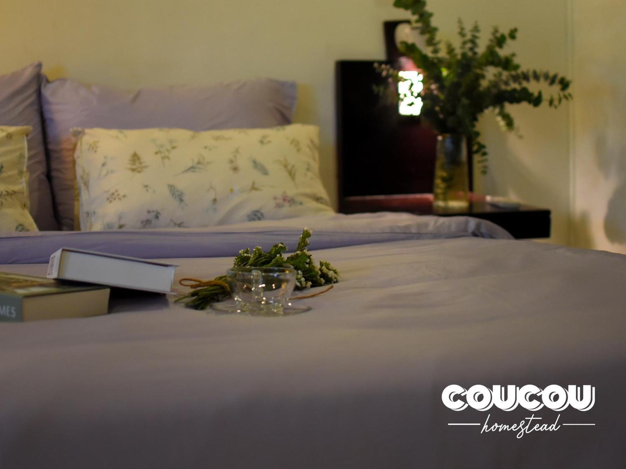 Aparthotel Coucou Homestead Ii - Homestay Quan 1 Ho Chi Minh City