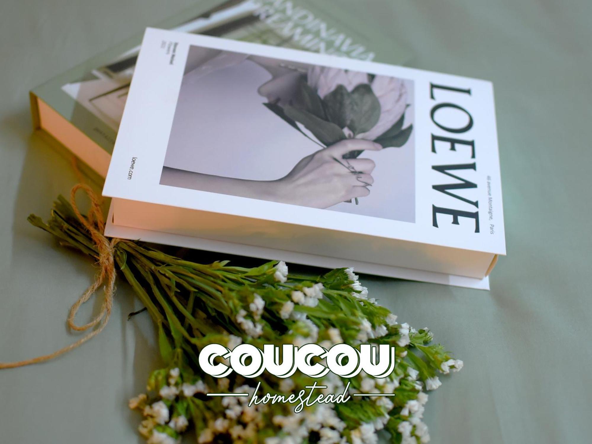 Aparthotel Coucou Homestead Ii - Homestay Quan 1