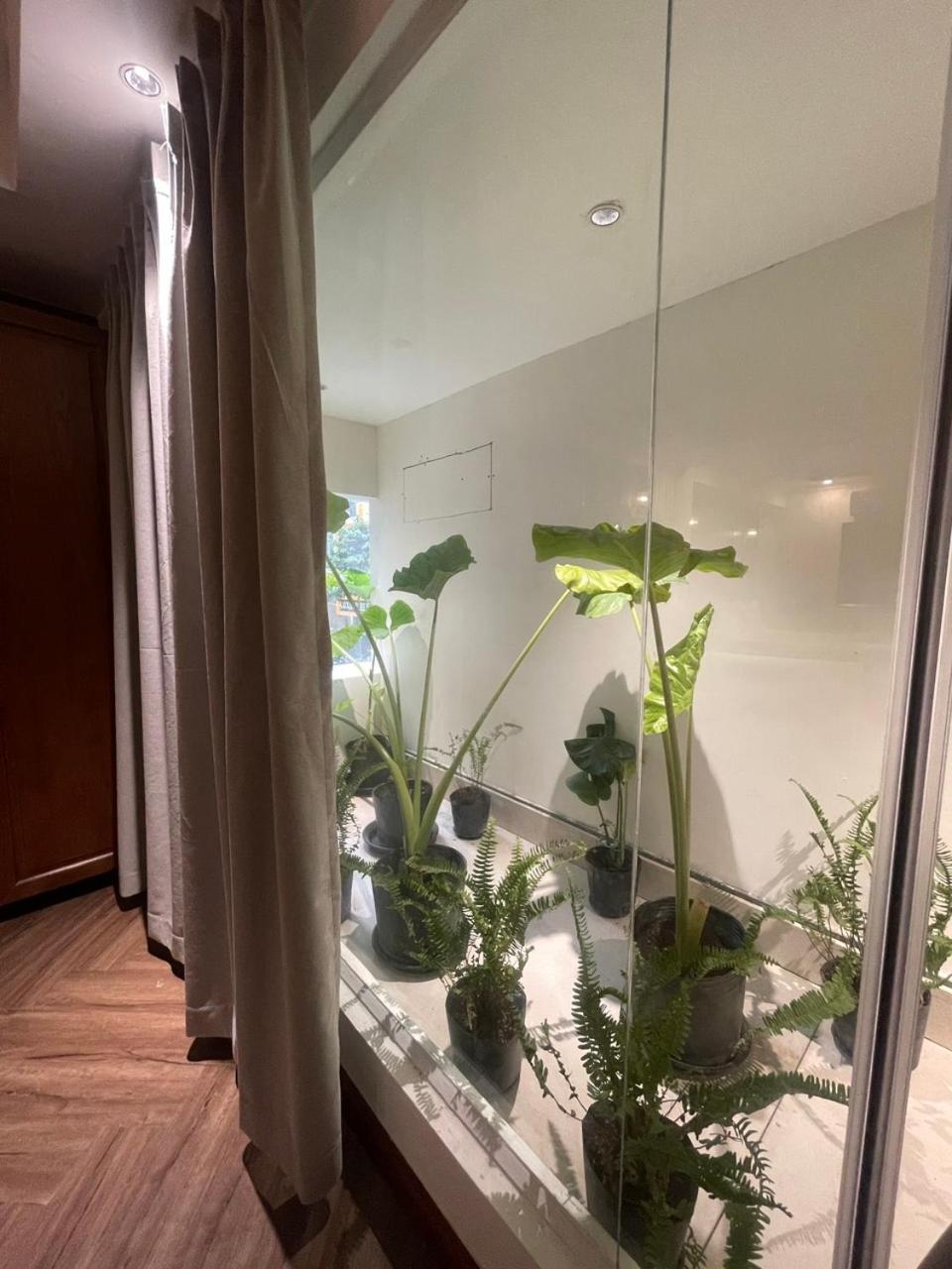 Guest house Apina