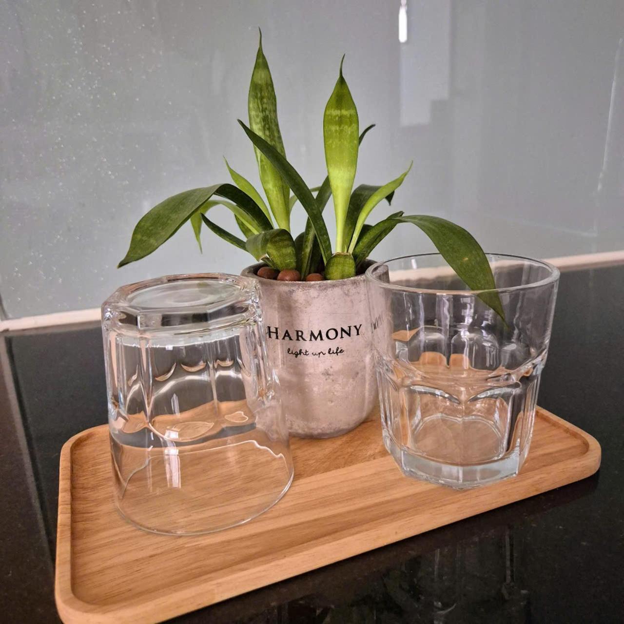 Khách sạn hẻo lánh Ff Evy House *