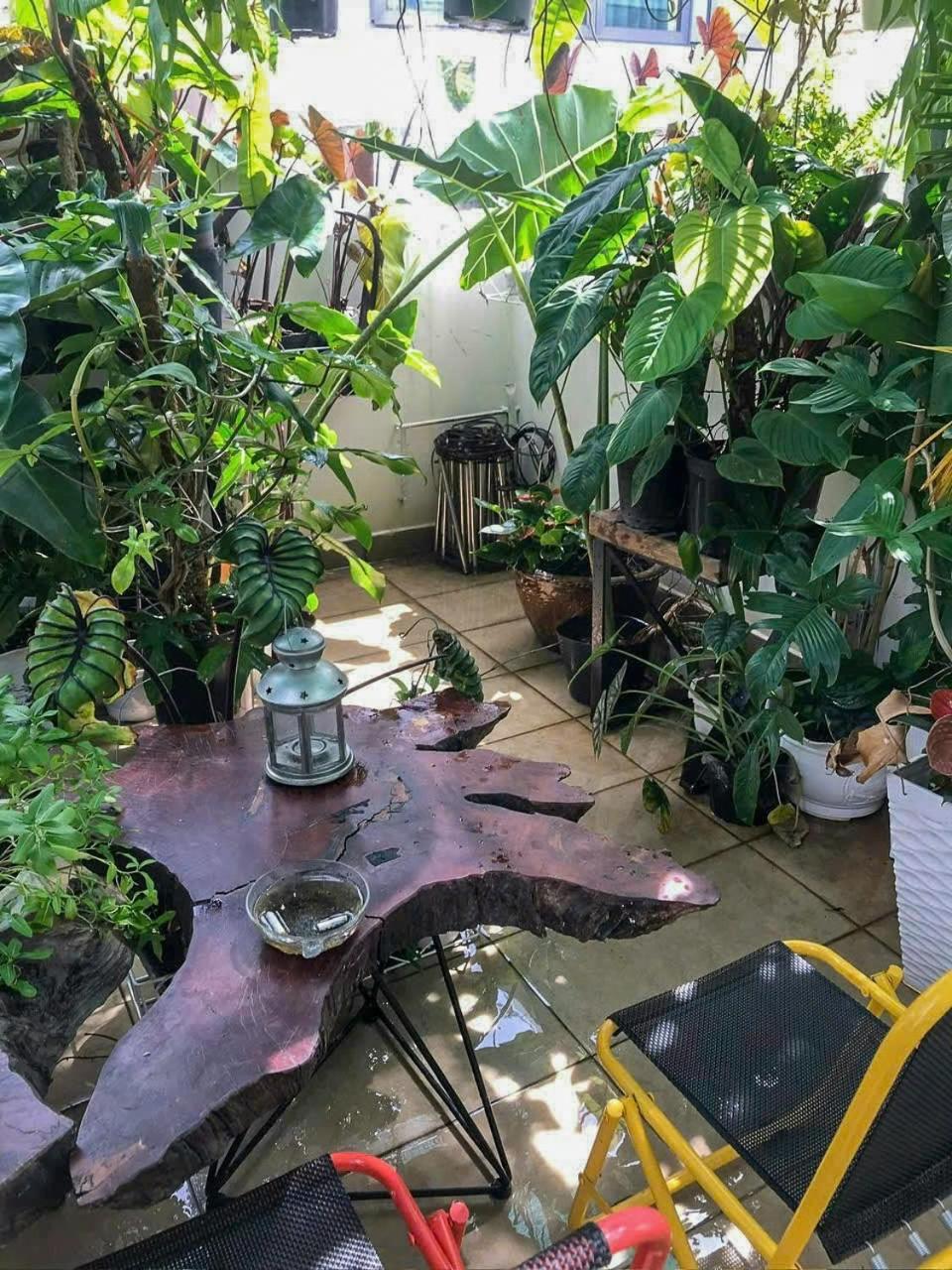 Guest house Amango *