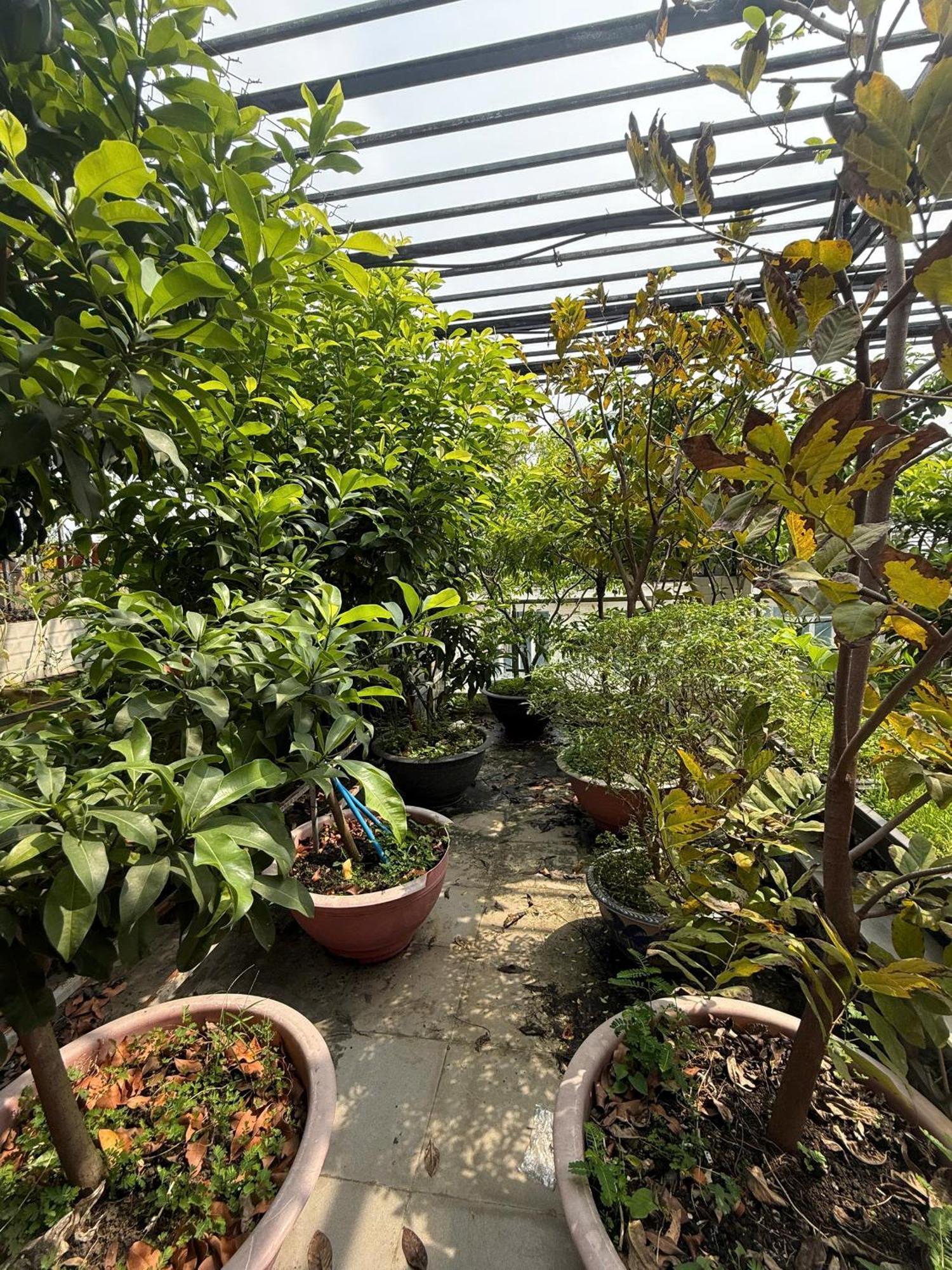Estella Homestay