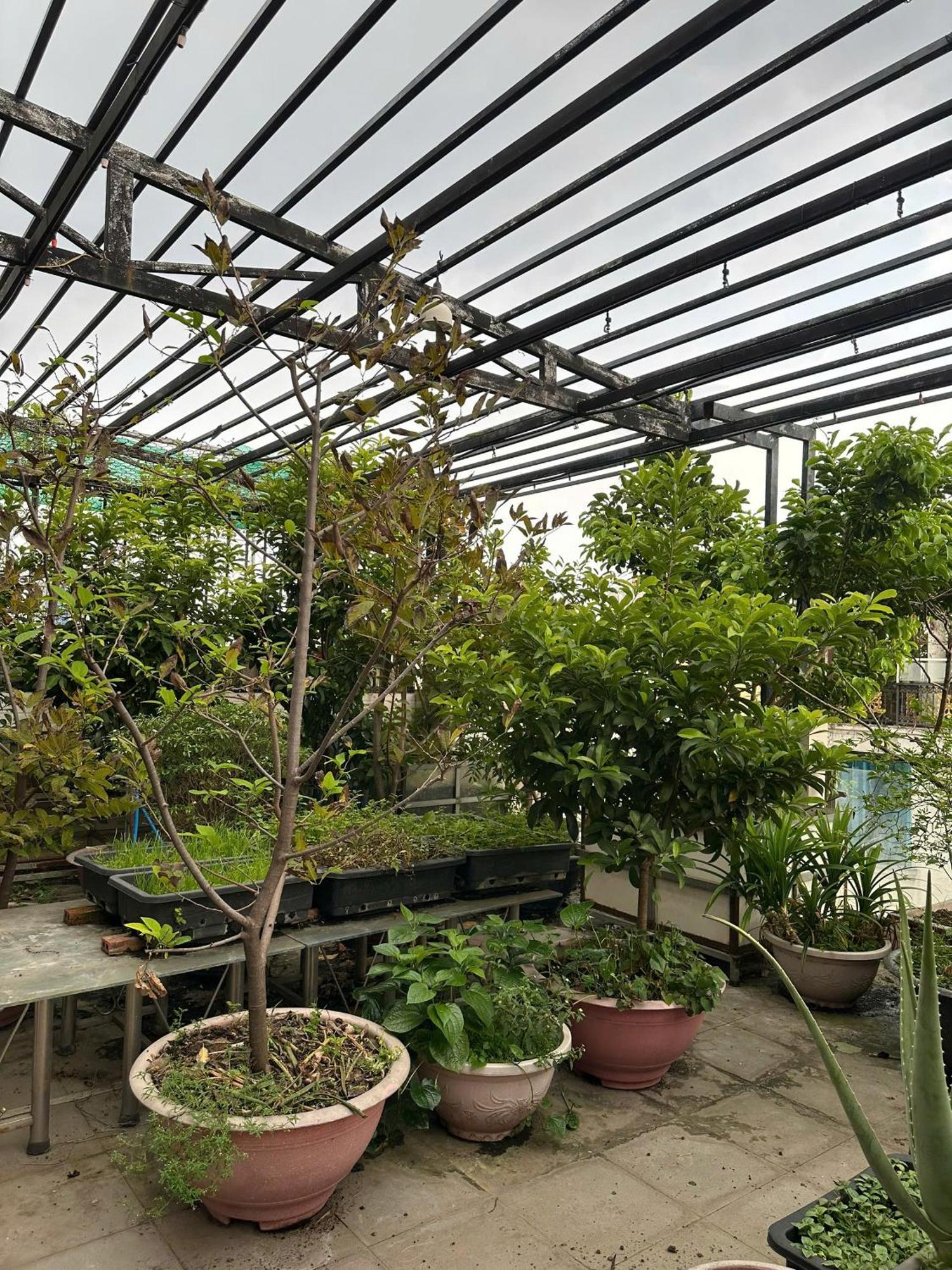 Homestay Estella Ho Chi Minh City