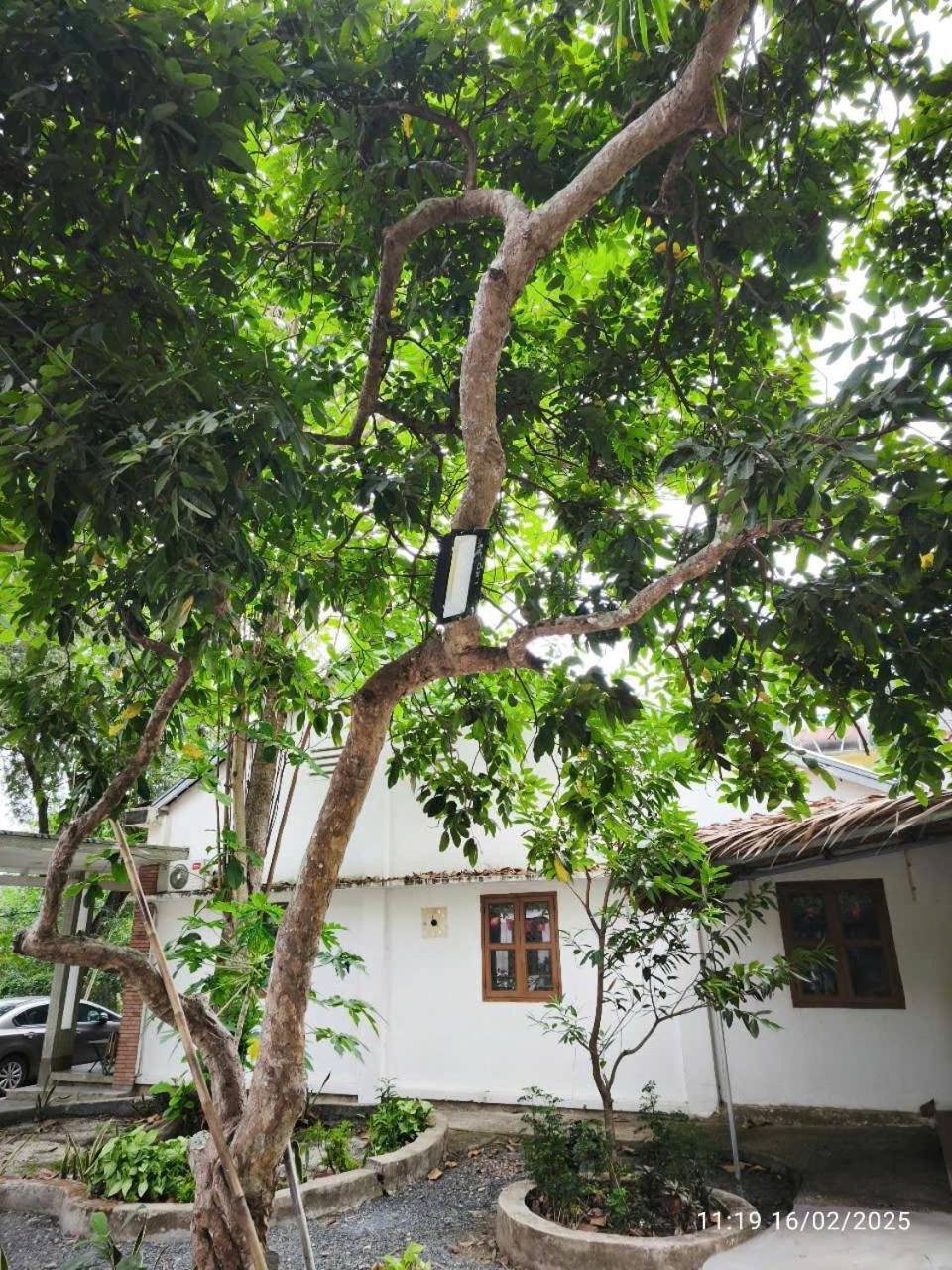 Apartment Nguyen Me Khang 2 *