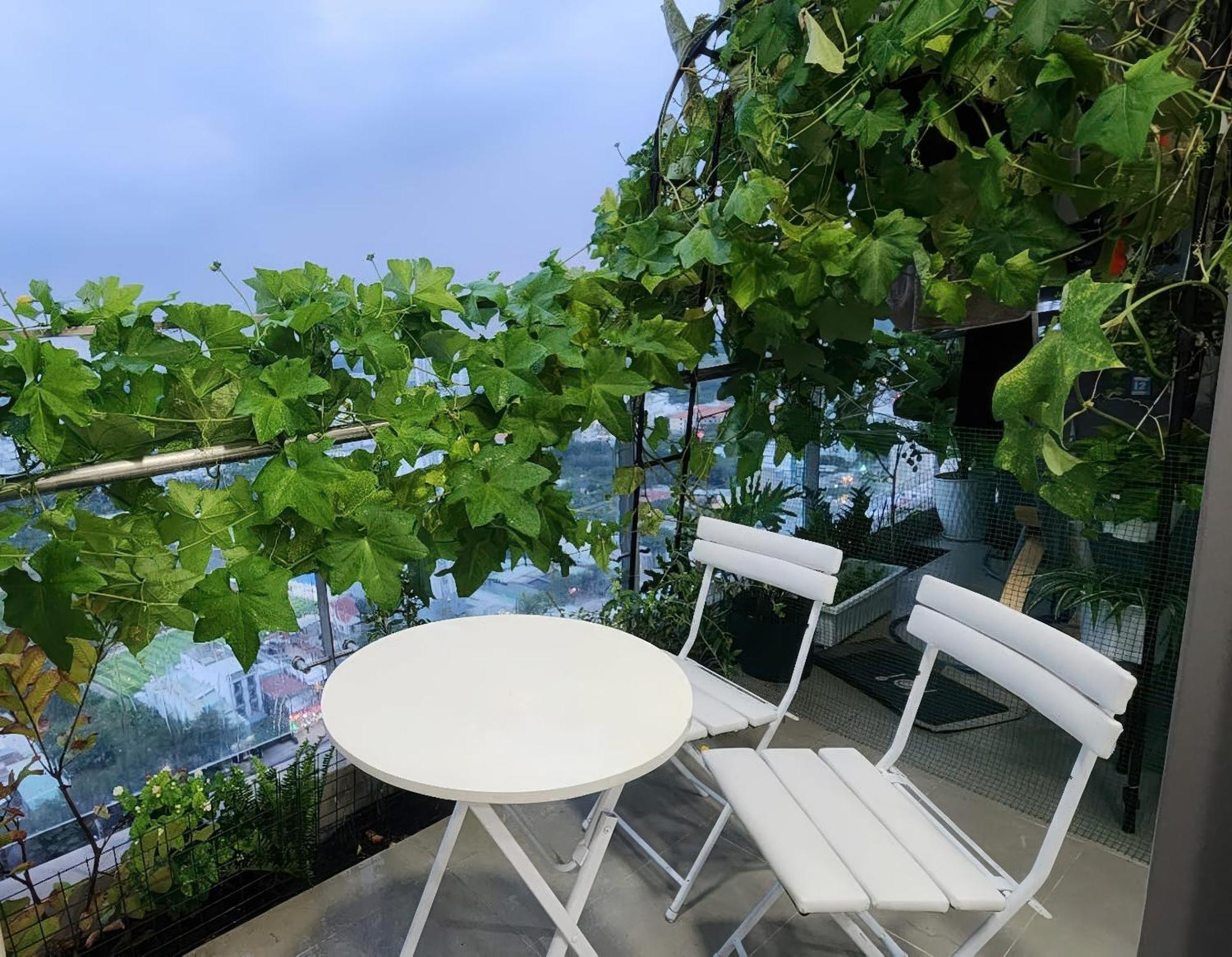 The Sky 89 Panorama D7 Apartment