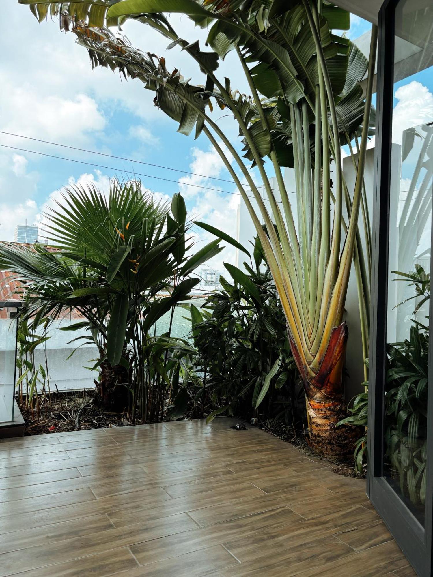 Letuc02 Business Couple Family Travel Homestay