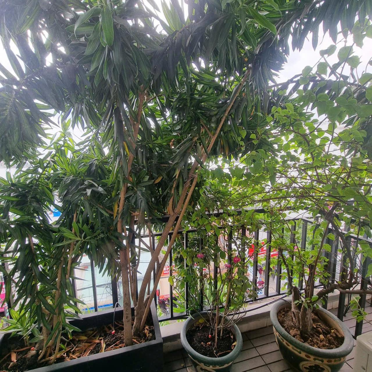 Hotel Ngoi Sao Phuong Nam