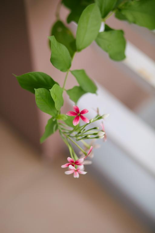 Mh - Bun Quay Homestay Ho Chi Minh City