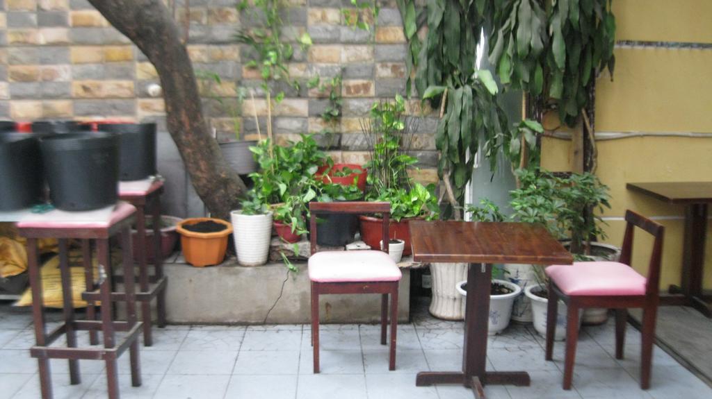 Ms Yang 2 - Cook Homestay