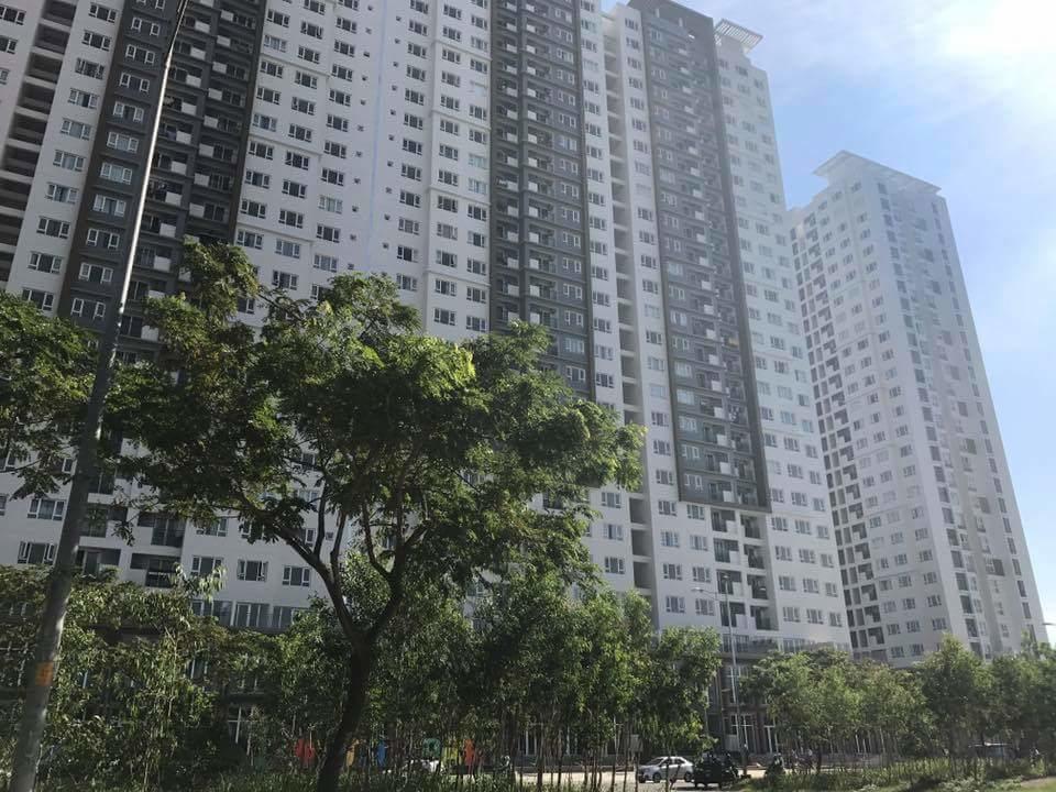The Park Apartment