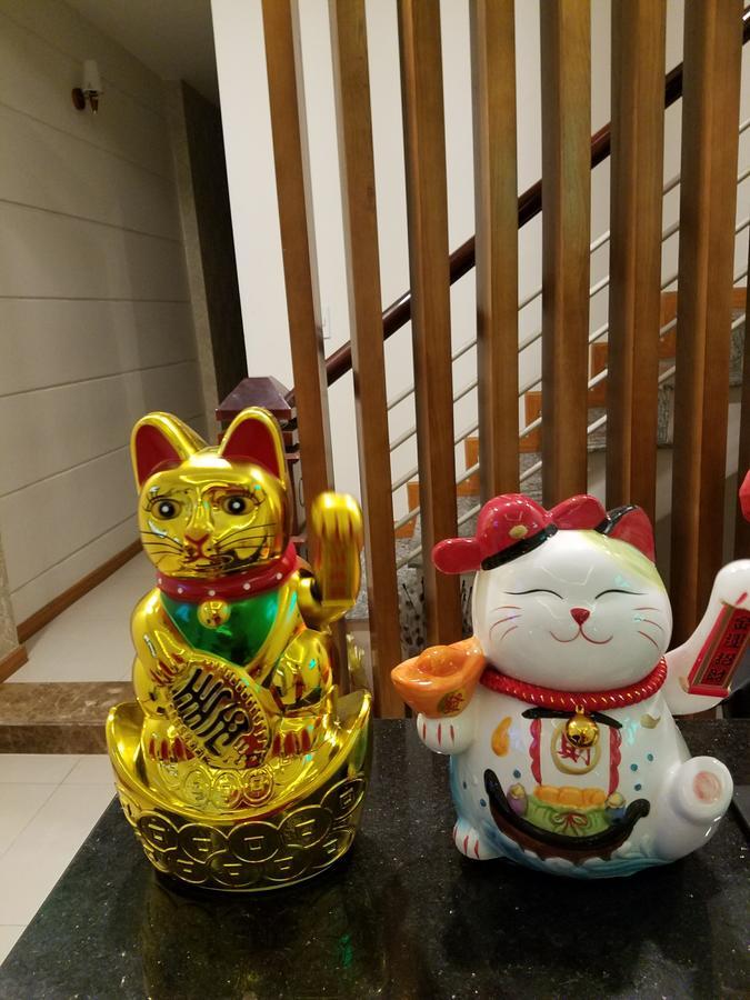 Lap Nhu Y