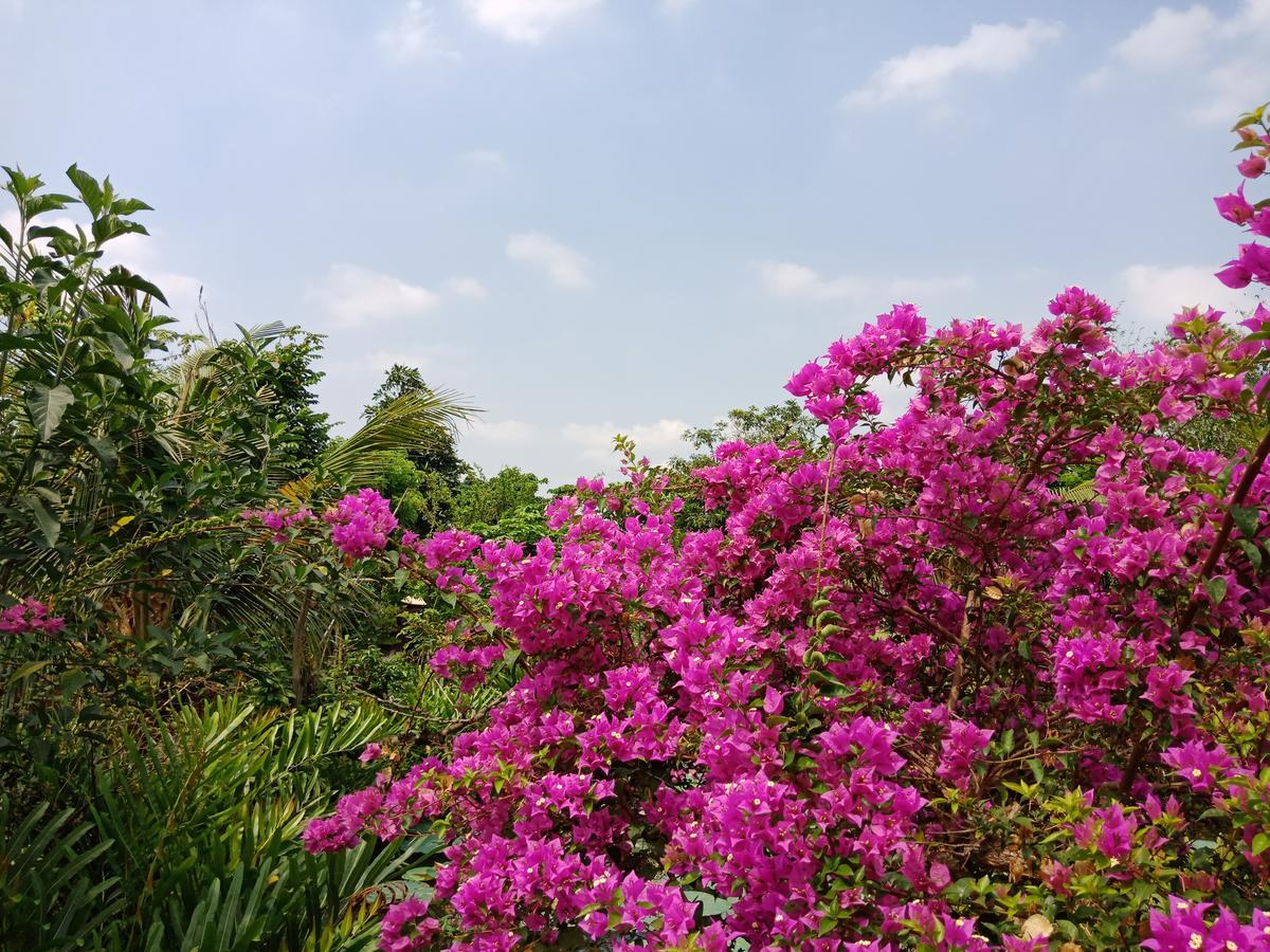 Saigon Riverside Retreat Hotel