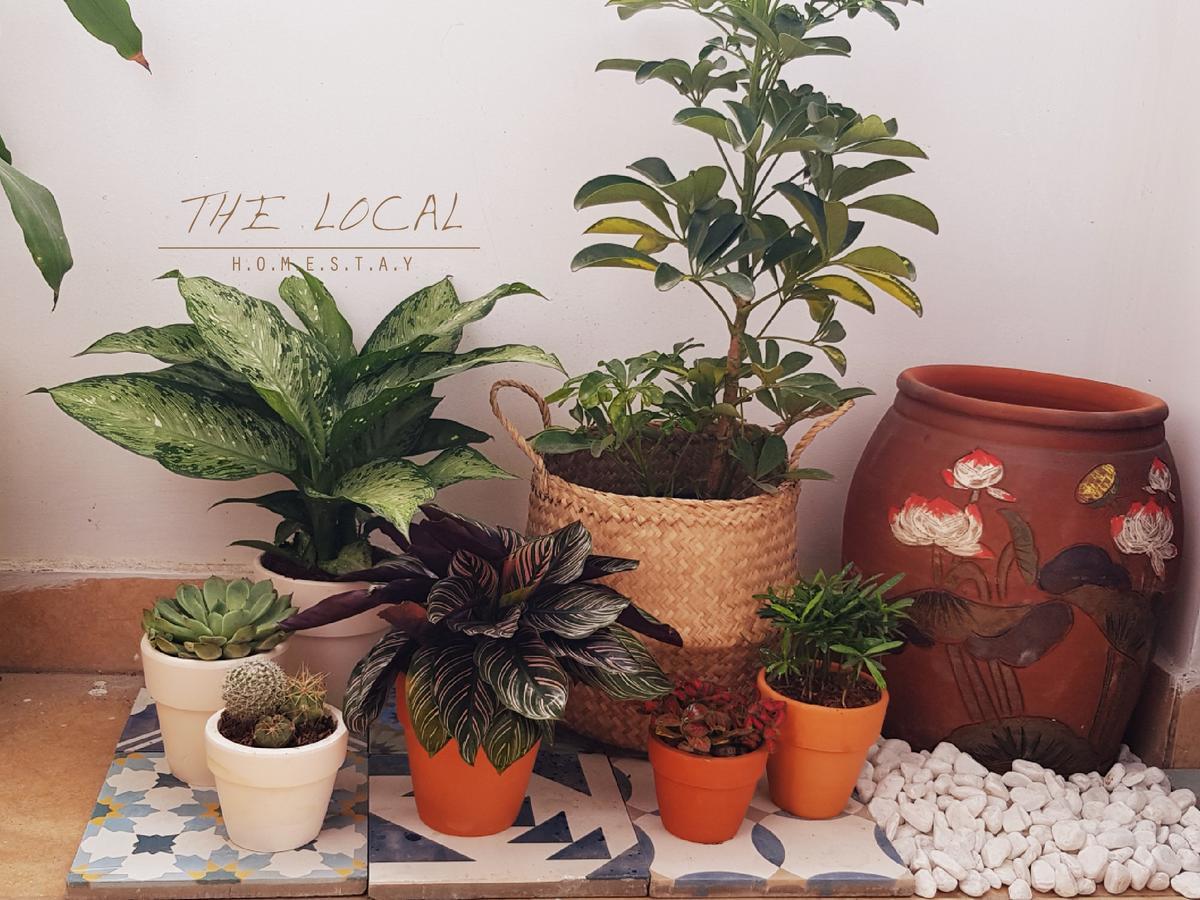The Local Bed & Breakfast Ho Chi Minh City