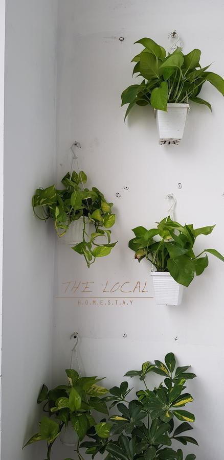 The Local