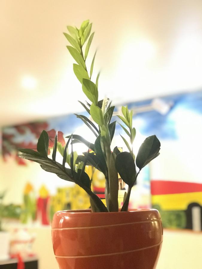 Homestay The Lily & Coffee