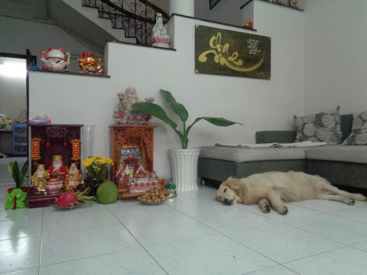 Ms Yang 2 - Cook Homestay *