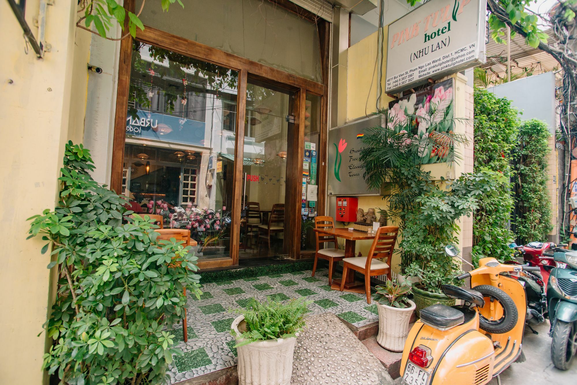 Canary Saigon