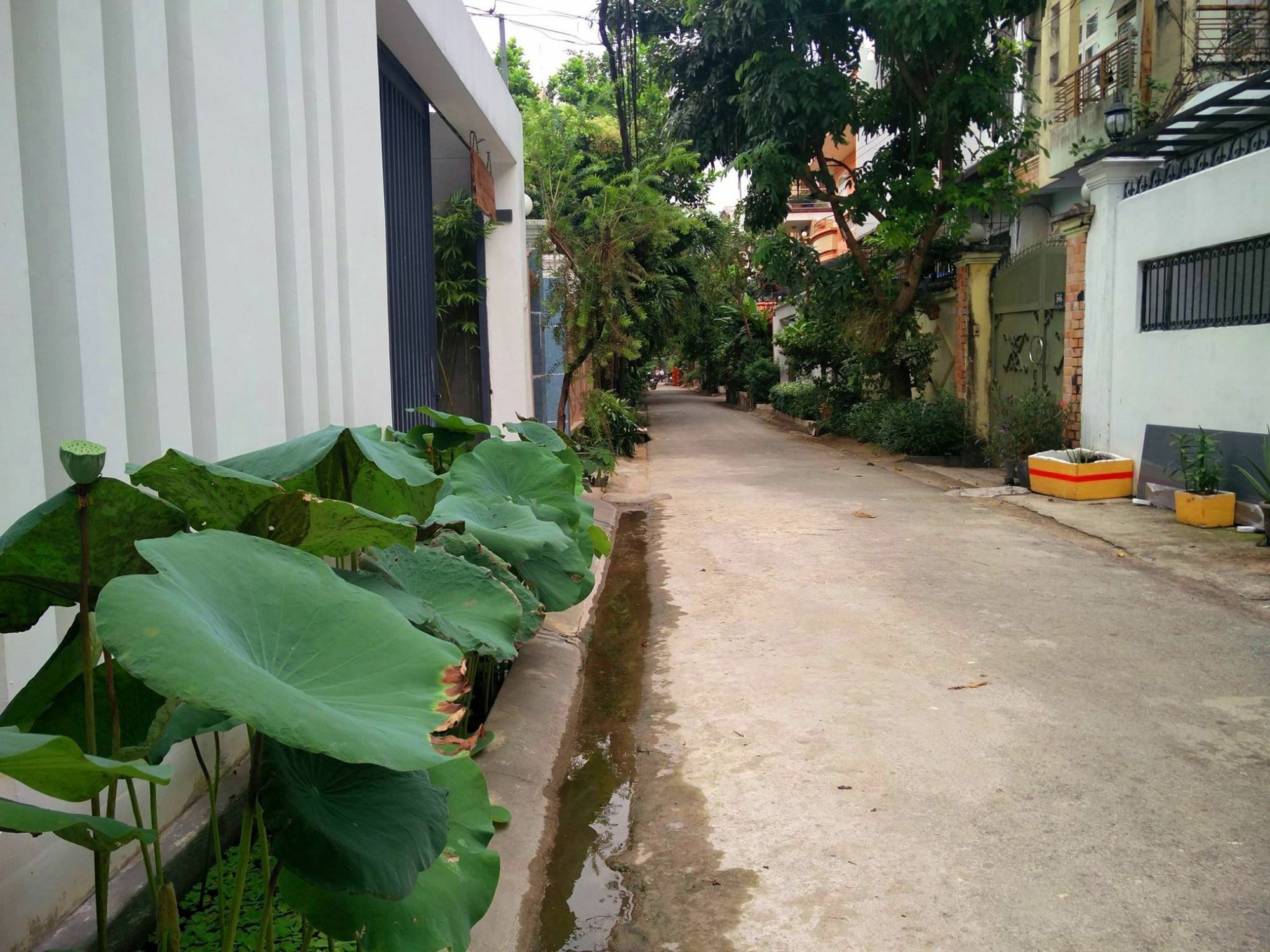 Pangsapuri Sen Boutique House By 5h Bandar Ho Chi Minh