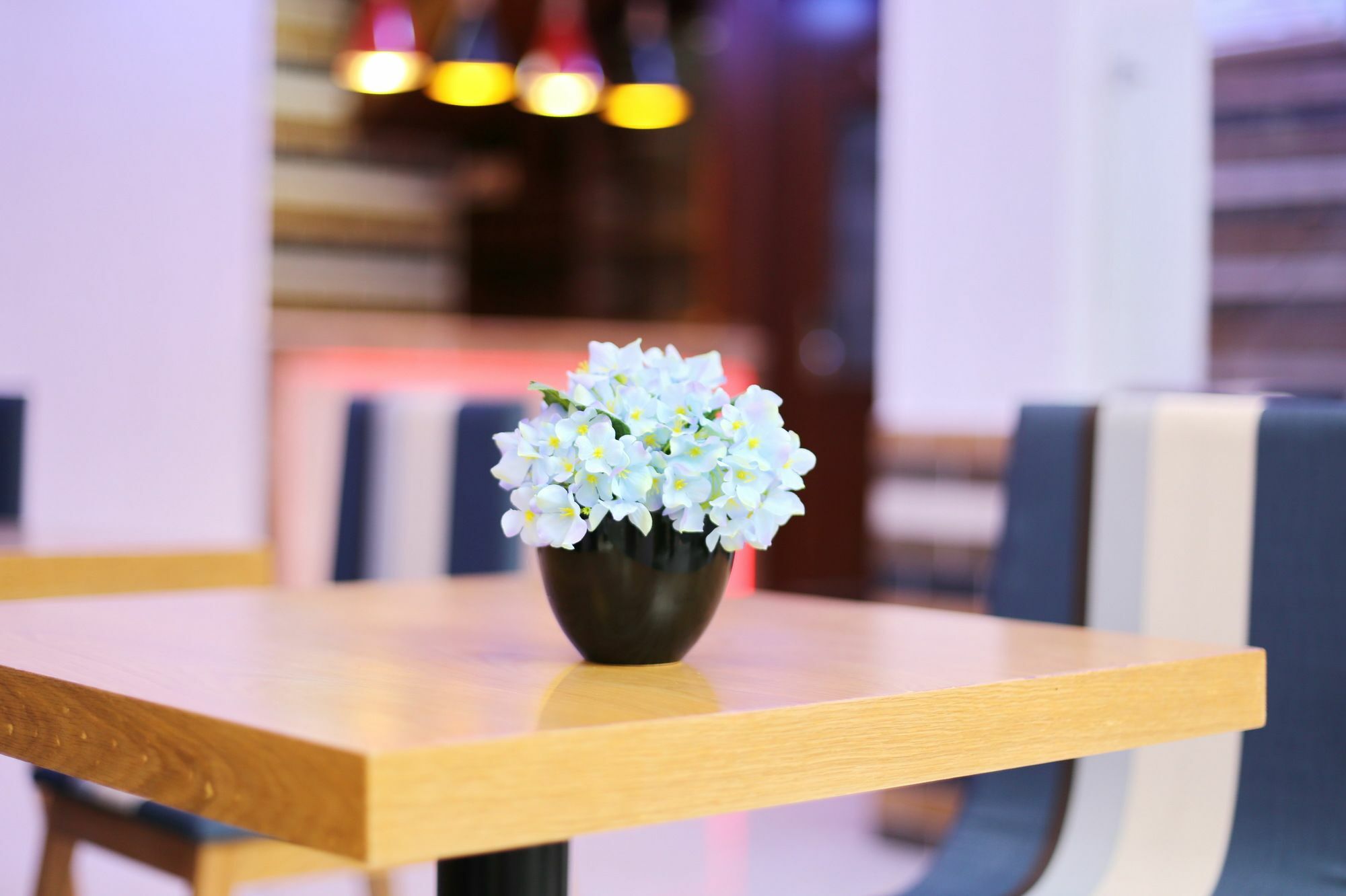 Aparthotel Sabina - Hcm