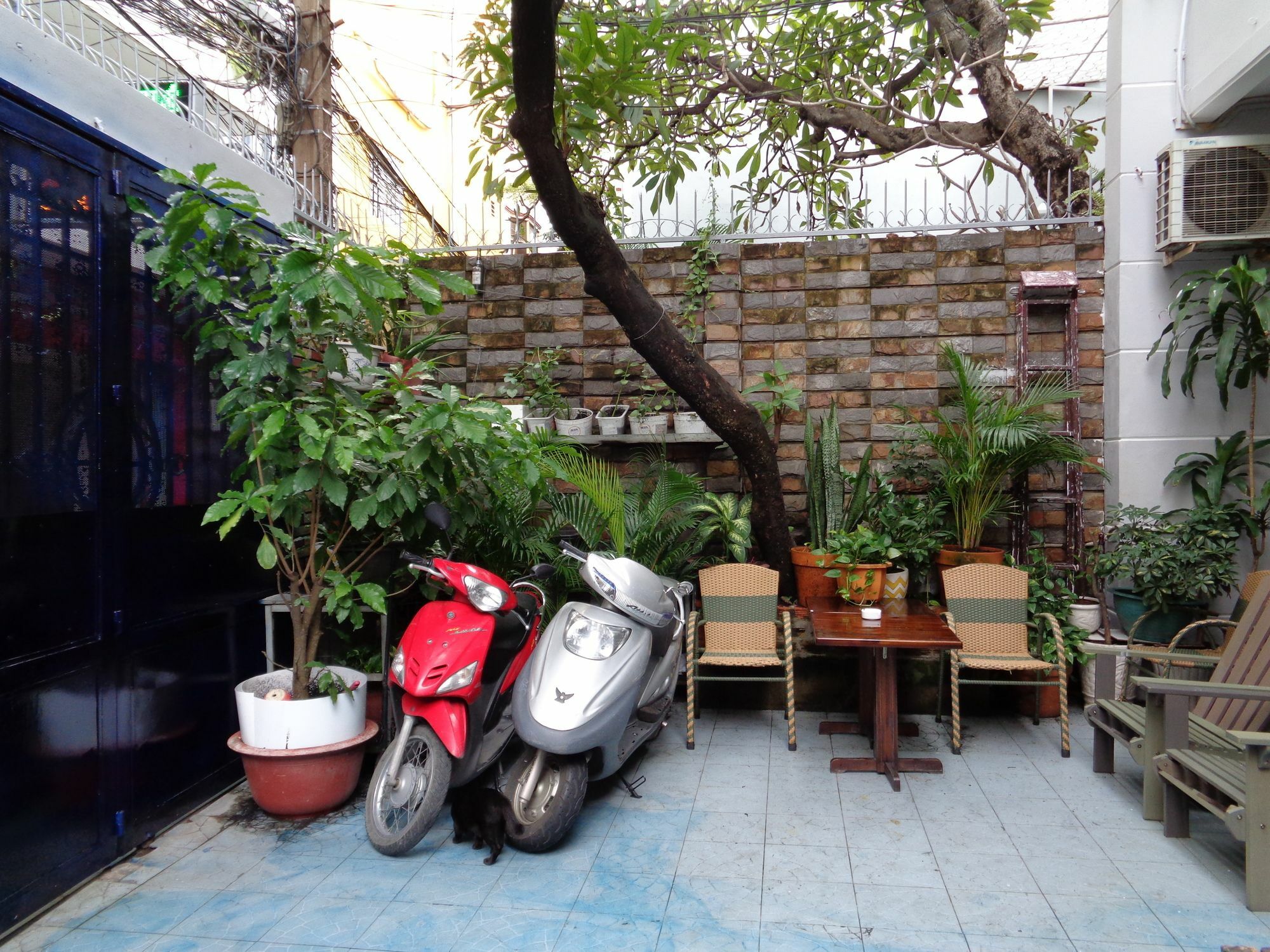Ms Yang 2 - Cook * Ho Chi Minh City