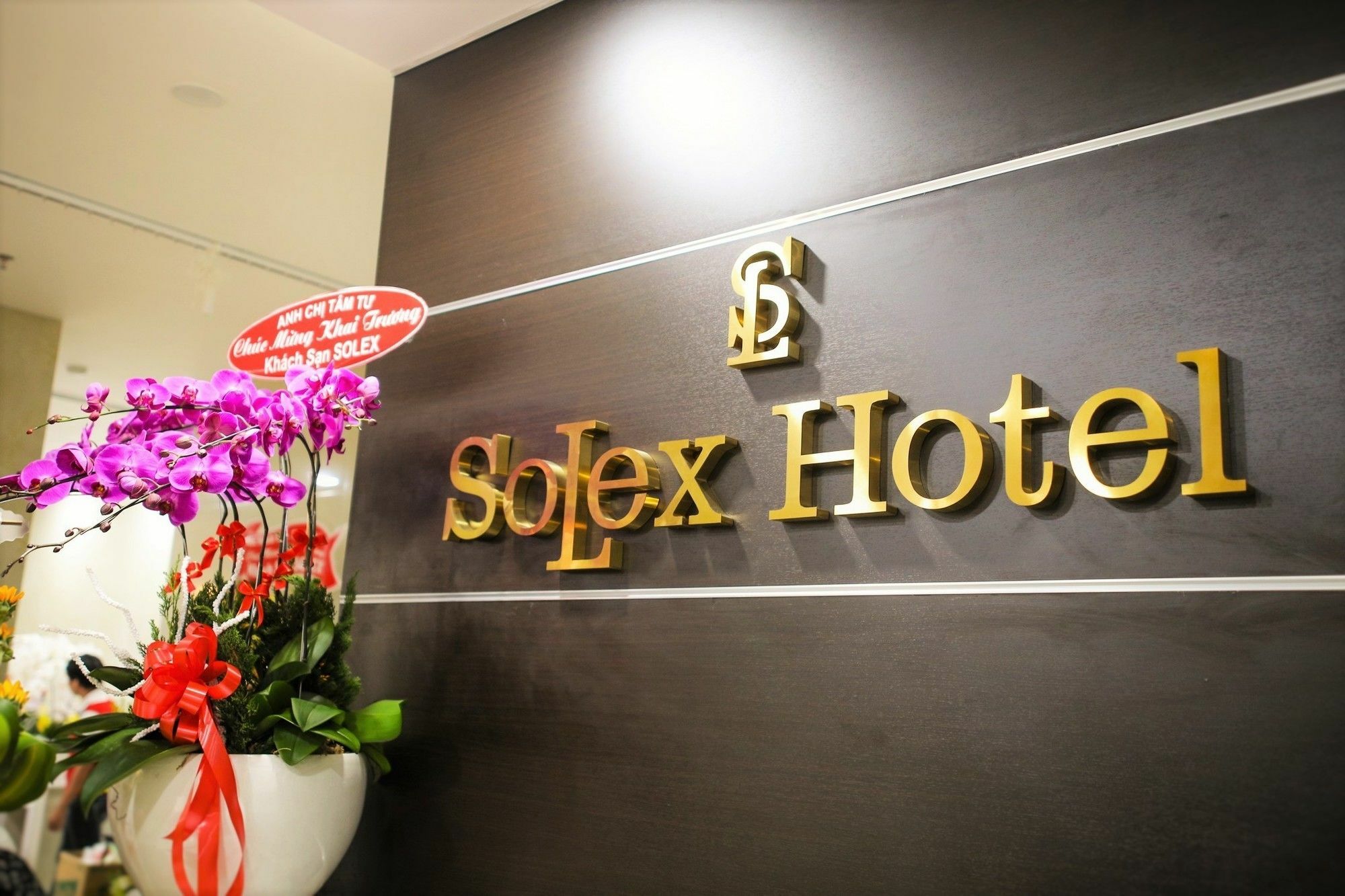 Hotel Solex 3*