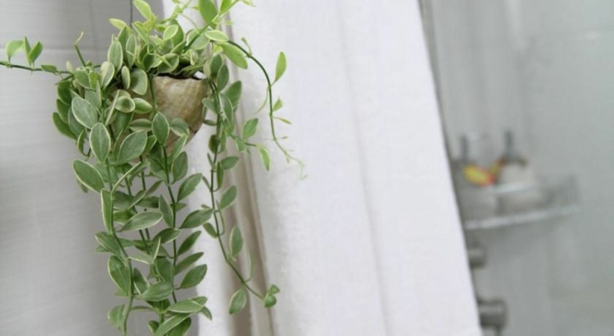 Khách sạn Chez Lotus TP. Hồ Chí Minh