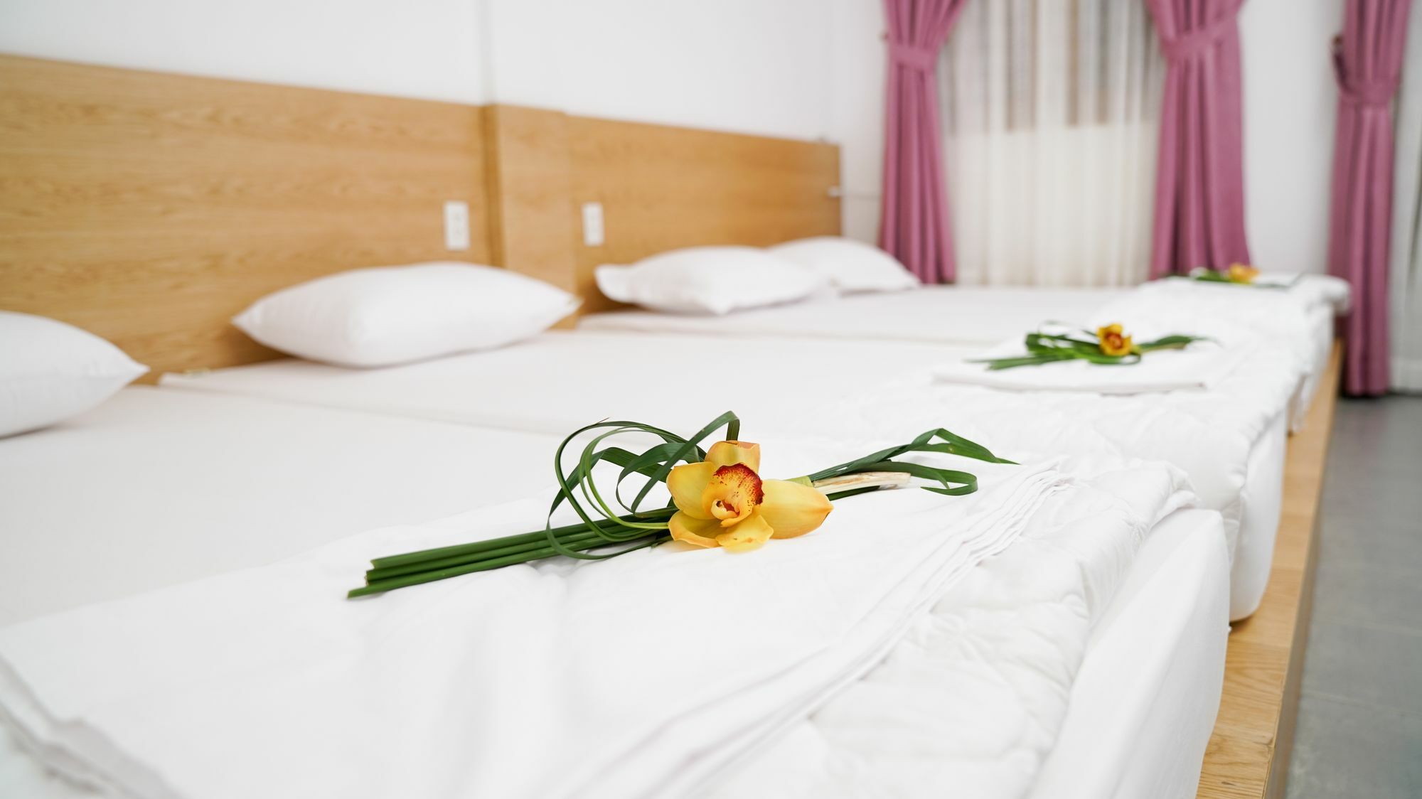 Hostel Prei Nokor