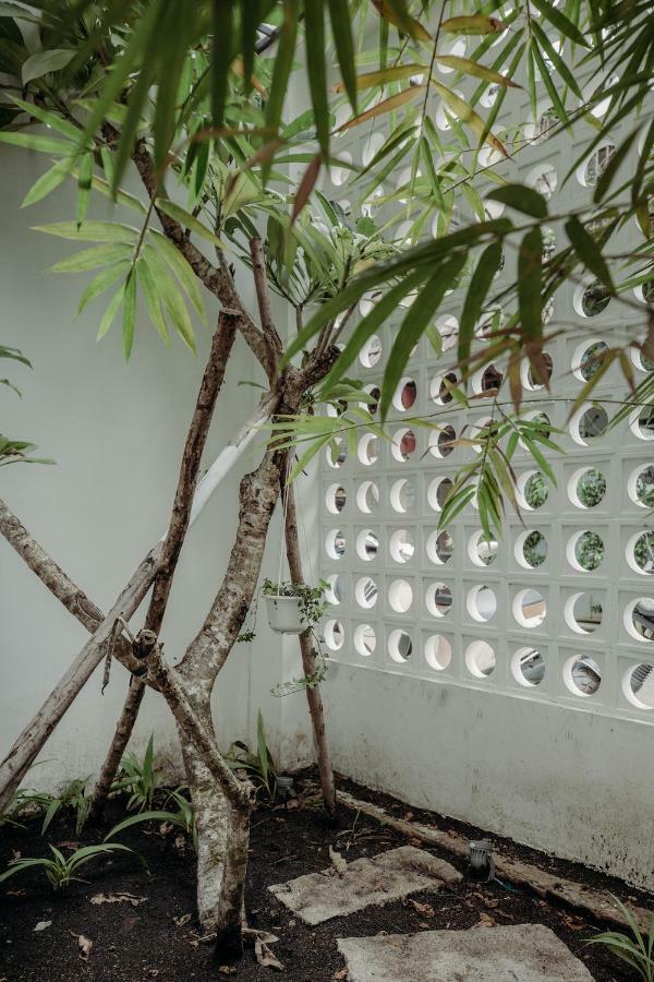 Botanist Lab Minihotel By Circadian Inn *