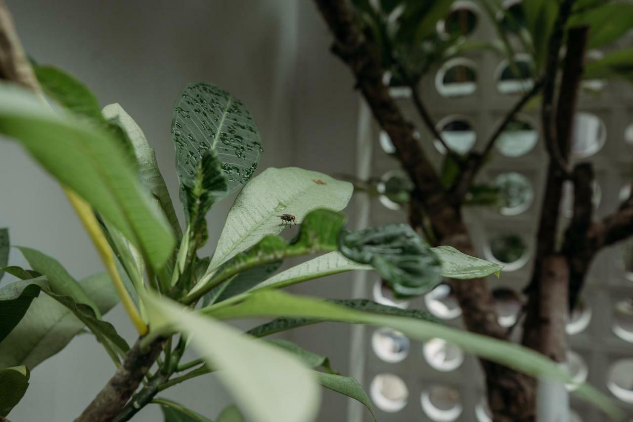Botanist Lab Minihotel By Circadian Inn Ho Chi Minh City