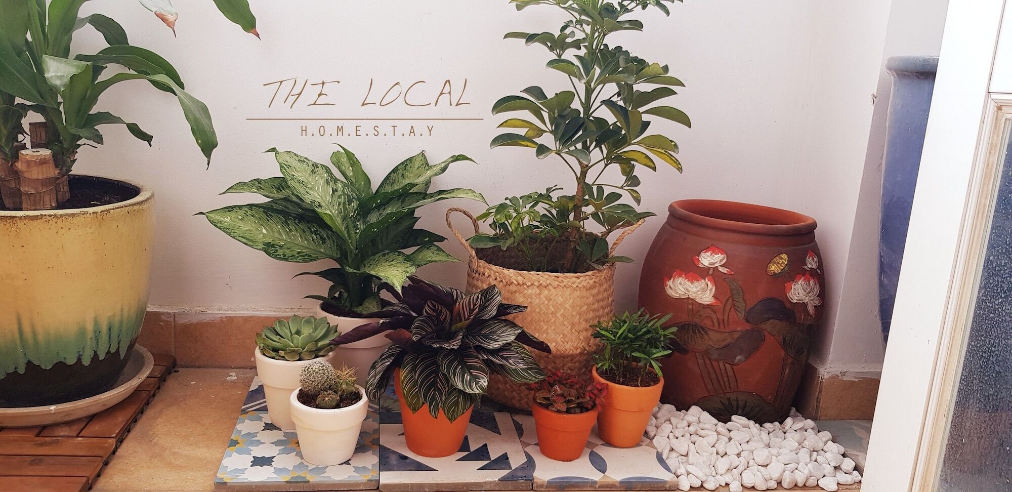 The Local Bed & Breakfast 2*