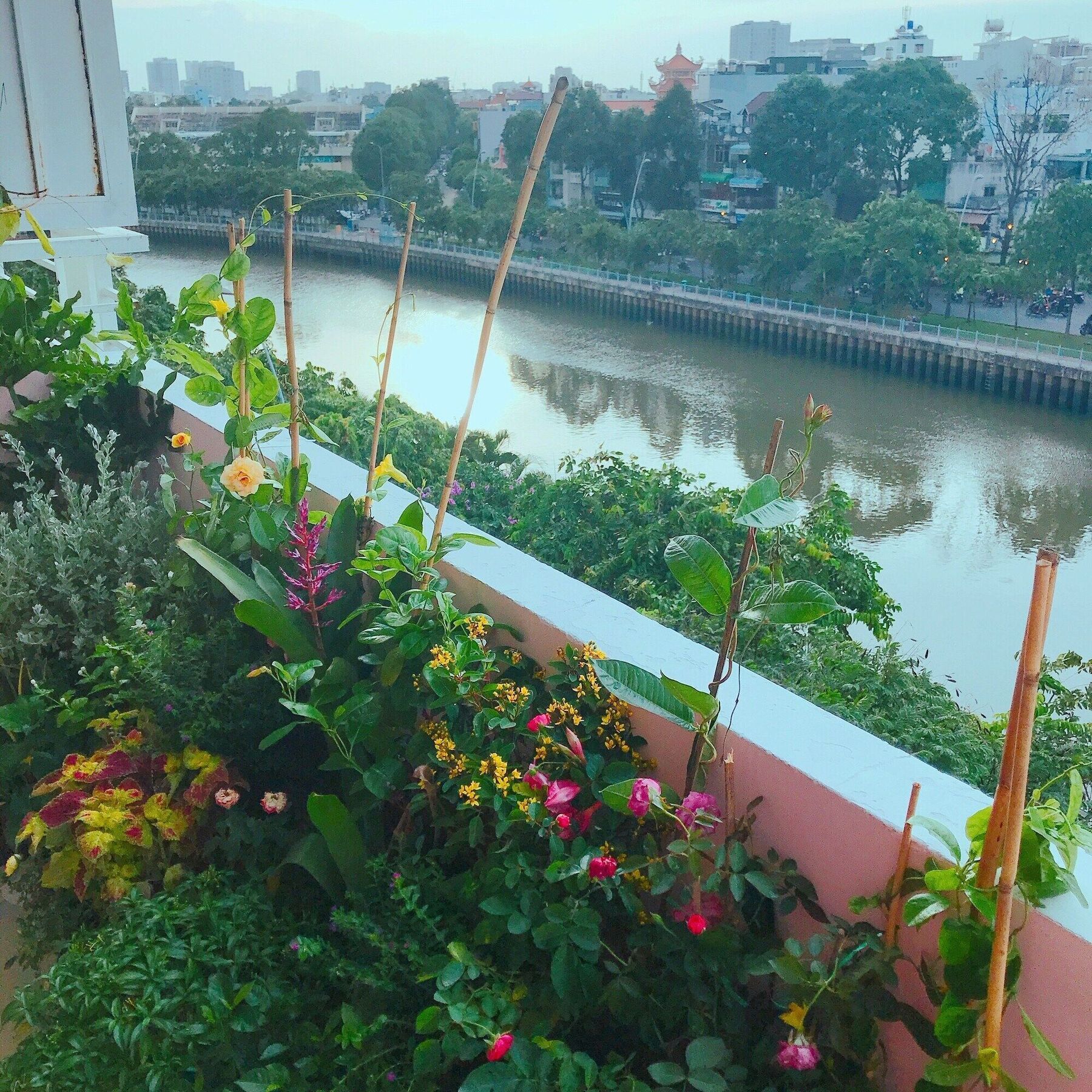 Apartment Bee Tropicool *
